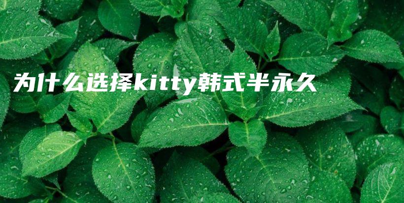 为什么选择kitty韩式半永久插图