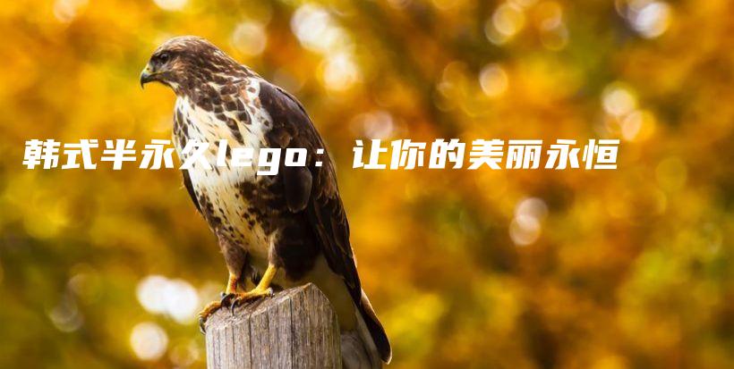 韩式半永久lego：让你的美丽永恒插图