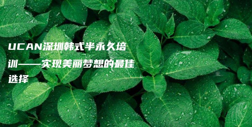 UCAN深圳韩式半永久培训——实现美丽梦想的最佳选择插图