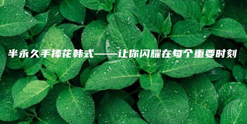 半永久手捧花韩式——让你闪耀在每个重要时刻插图