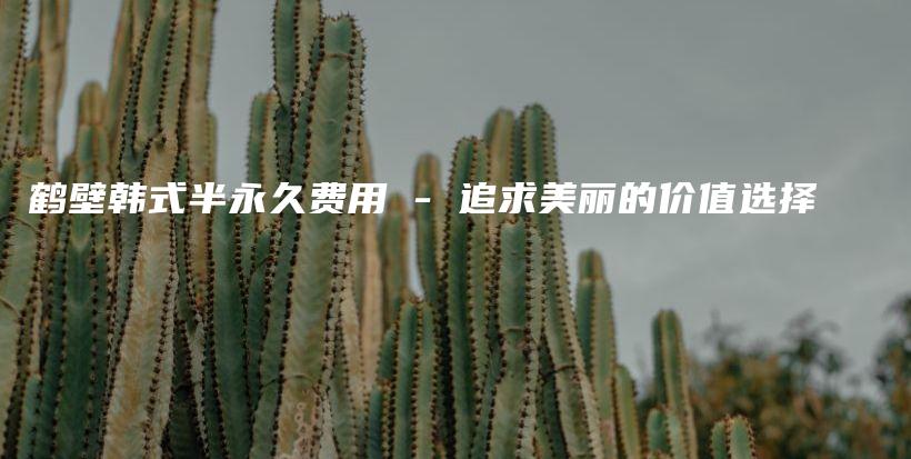 鹤壁韩式半永久费用 – 追求美丽的价值选择插图