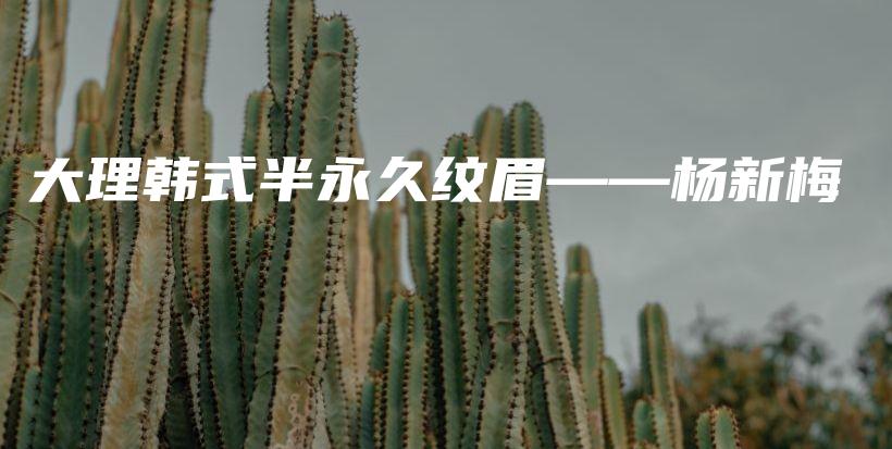 大理韩式半永久纹眉——杨新梅插图