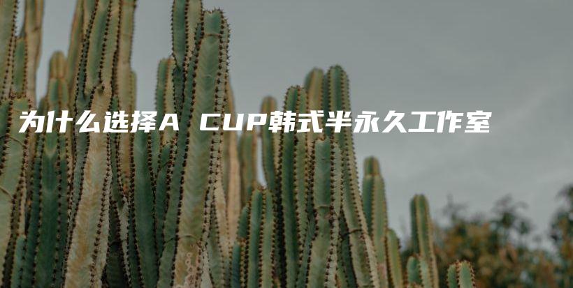 为什么选择A CUP韩式半永久工作室插图