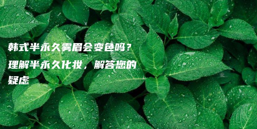 韩式半永久雾眉会变色吗？理解半永久化妆，解答您的疑虑插图