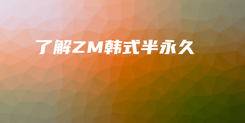 了解ZM韩式半永久插图