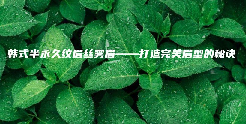 韩式半永久纹眉丝雾眉——打造完美眉型的秘诀插图