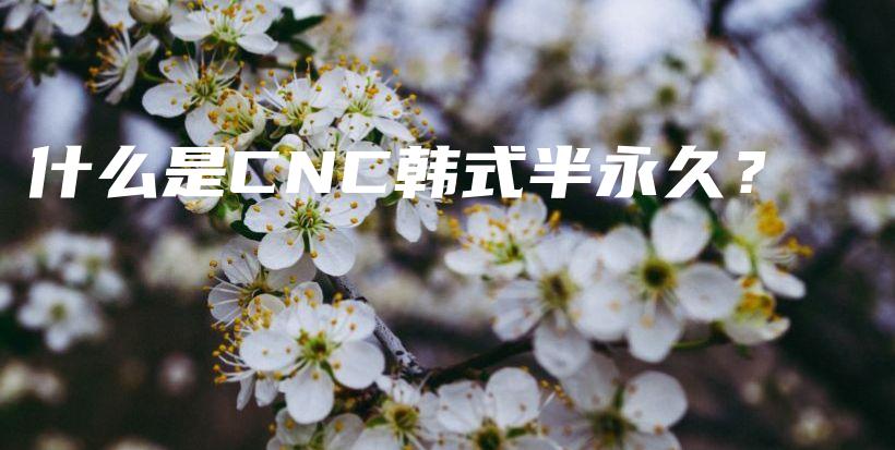 什么是CNC韩式半永久？插图