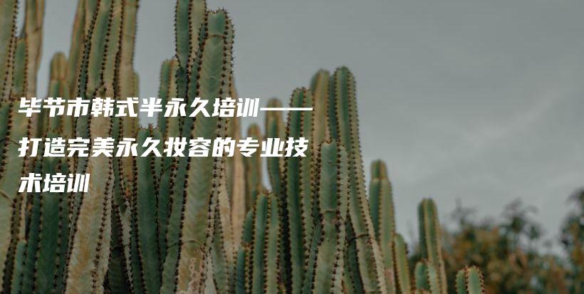 毕节市韩式半永久培训——打造完美永久妆容的专业技术培训插图