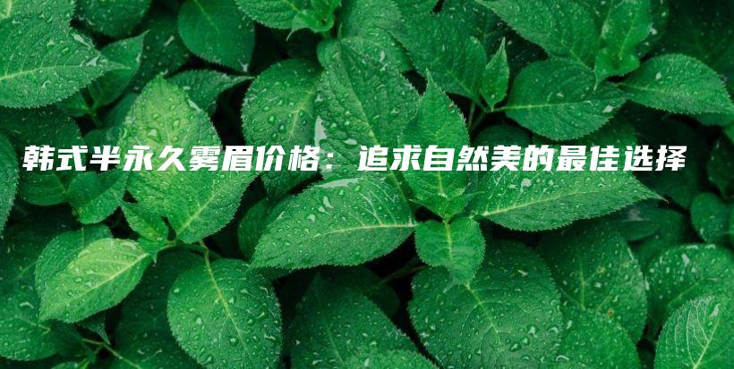 韩式半永久雾眉价格：追求自然美的最佳选择插图