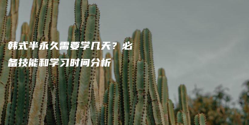 韩式半永久需要学几天？必备技能和学习时间分析插图