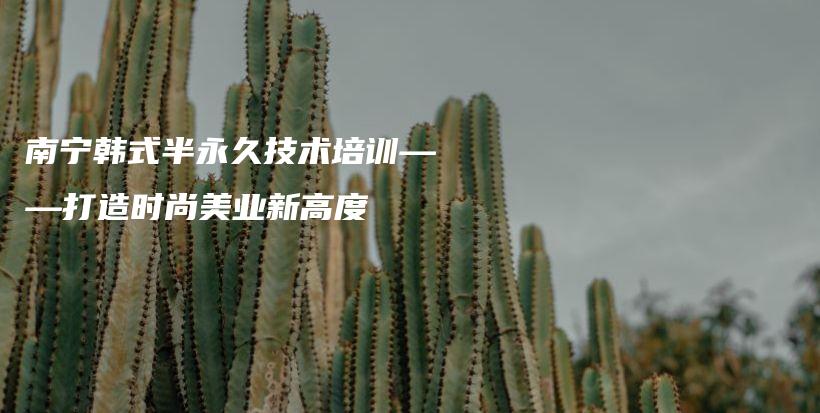 南宁韩式半永久技术培训——打造时尚美业新高度插图