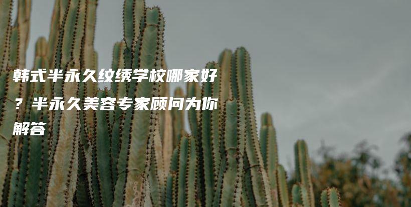 韩式半永久纹绣学校哪家好？半永久美容专家顾问为你解答插图