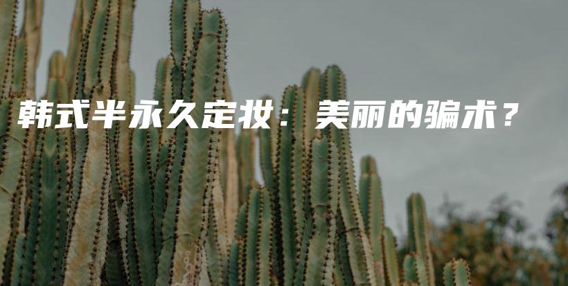 韩式半永久定妆：美丽的骗术？插图