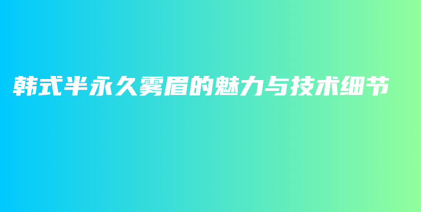 韩式半永久雾眉的魅力与技术细节插图