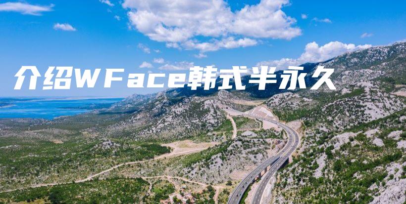 介绍WFace韩式半永久插图