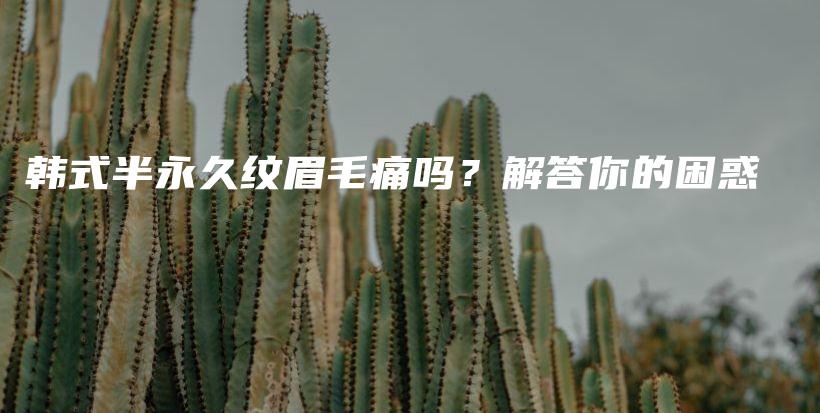 韩式半永久纹眉毛痛吗？解答你的困惑插图