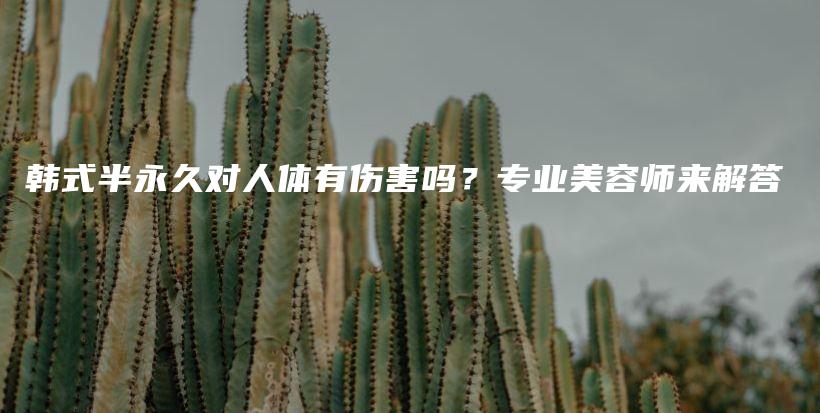 韩式半永久对人体有伤害吗？专业美容师来解答插图