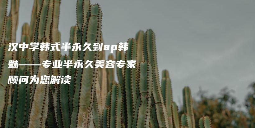 汉中学韩式半永久到ap韩魅——专业半永久美容专家顾问为您解读插图