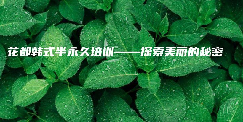 花都韩式半永久培训——探索美丽的秘密插图