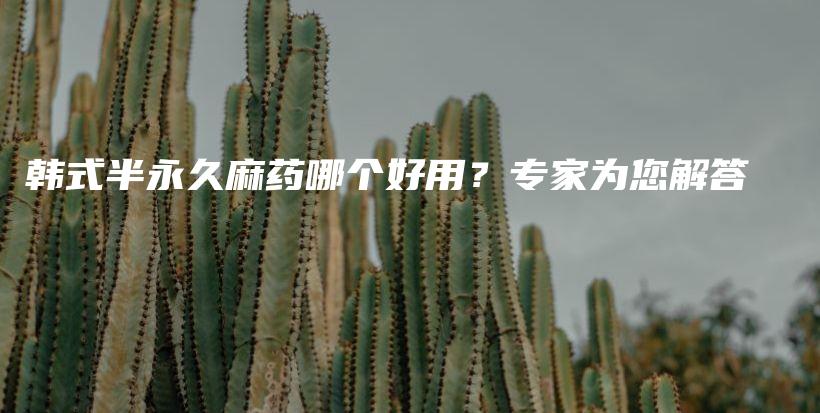 韩式半永久麻药哪个好用？专家为您解答插图