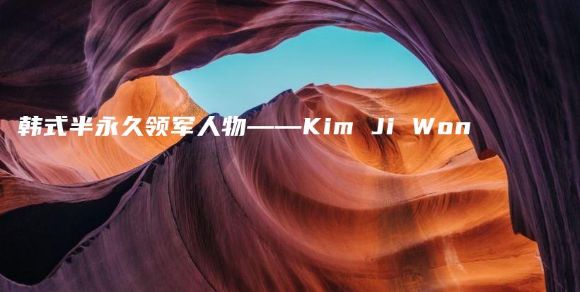 韩式半永久领军人物——Kim Ji Won插图