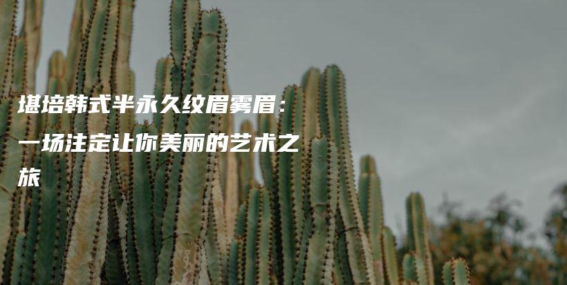 堪培韩式半永久纹眉雾眉：一场注定让你美丽的艺术之旅插图