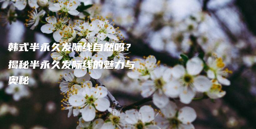 韩式半永久发际线自然吗？揭秘半永久发际线的魅力与奥秘插图