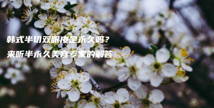 韩式半切双眼皮是永久吗？来听半永久美容专家的解答插图