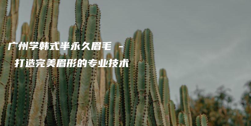 广州学韩式半永久眉毛 – 打造完美眉形的专业技术插图